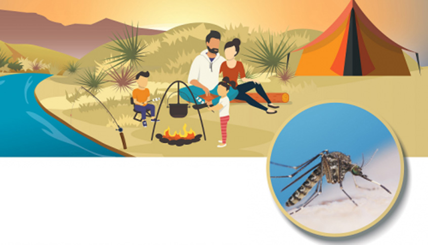 A team applying mosquito control measures in a rural area, showcasing local efforts to combat mosquito-borne diseases.